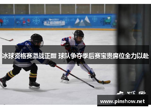 冰球资格赛激战正酣 球队争夺季后赛宝贵席位全力以赴